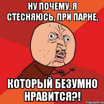 ну почему, я стесняюсь, при парне, который безумно нравится?!, Мем Почему