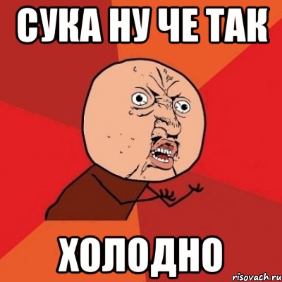 сука ну че так холодно, Мем Почему