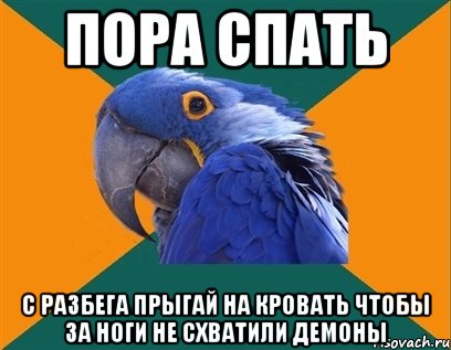 пора спать с разбега прыгай на кровать чтобы за ноги не схватили демоны, Мем Попугай параноик