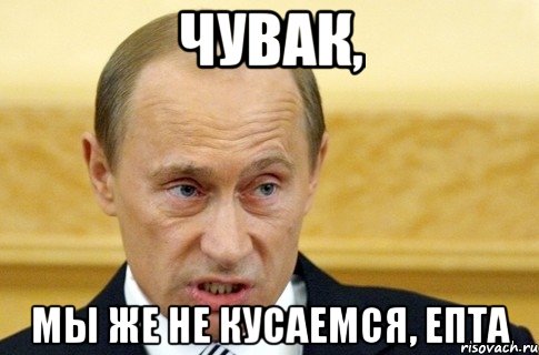 чувак, мы же не кусаемся, епта, Мем путин