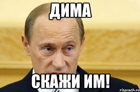 дима скажи им!, Мем путин