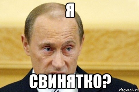 я свинятко?, Мем путин