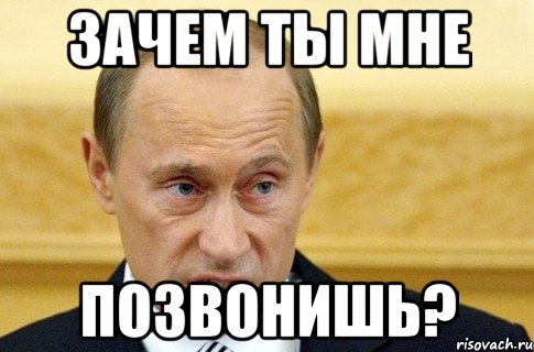 зачем ты мне позвонишь?, Мем путин