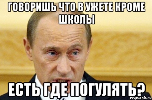 говоришь что в ужете кроме школы есть где погулять?, Мем путин