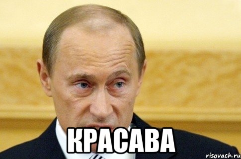  красава, Мем путин