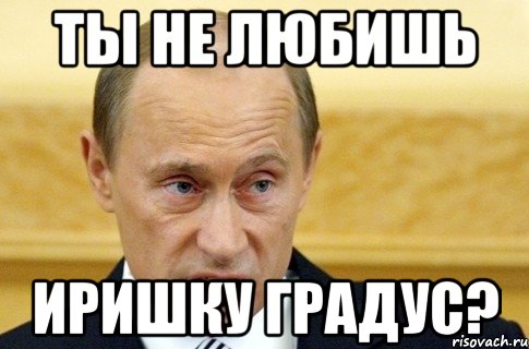 ты не любишь иришку градус?, Мем путин