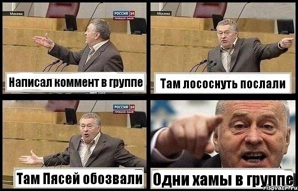 Написал коммент в группе Там лососнуть послали Там Пясей обозвали Одни хамы в группе, Комикс с Жириновским