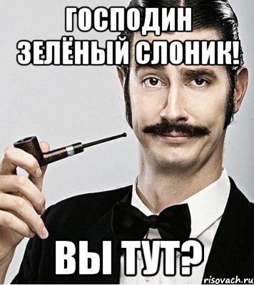 господин зелёный слоник! вы тут?