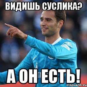 видишь суслика? а он есть!