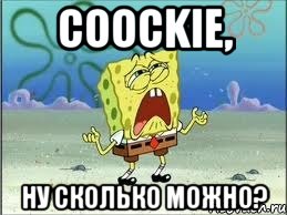 coockie, ну сколько можно?, Мем Спанч Боб плачет