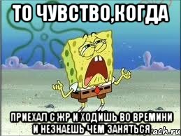 то чувство,когда приехал с жр и ходишь во времини и незнаешь чем заняться, Мем Спанч Боб плачет