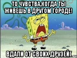 то чувства,когда ты живешь в другом городе! вдали от своих друзей(, Мем Спанч Боб плачет