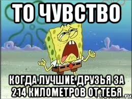 то чувство когда лучшие друзья за 214 километров от тебя, Мем Спанч Боб плачет