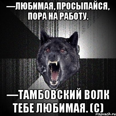 —любимая, просыпайся, пора на работу. —тамбовский волк тебе любимая. (с), Мем Сумасшедший волк