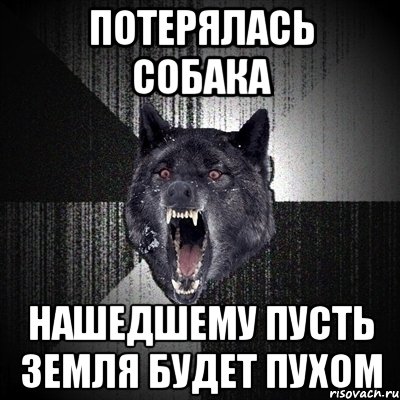 потерялась собака нашедшему пусть земля будет пухом, Мем Сумасшедший волк