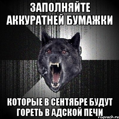 заполняйте аккуратней бумажки которые в сентябре будут гореть в адской печи, Мем Сумасшедший волк