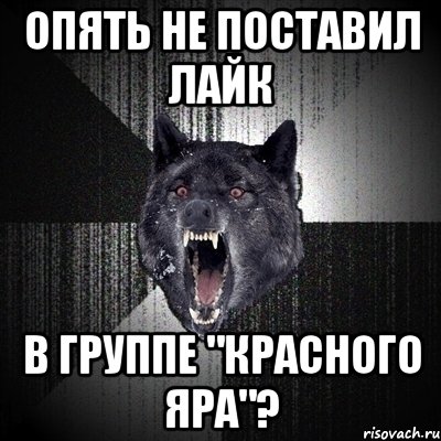 опять не поставил лайк в группе "красного яра"?, Мем Сумасшедший волк