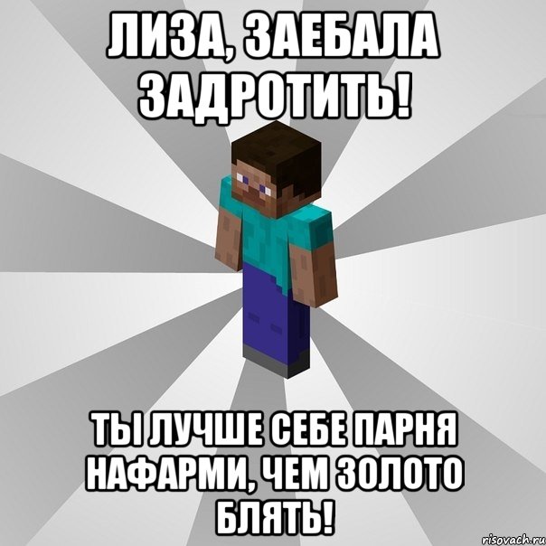 лиза, заебала задротить! ты лучше себе парня нафарми, чем золото блять!, Мем Типичный игрок Minecraft