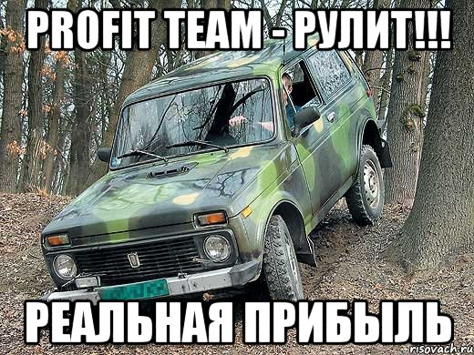 profit team - рулит!!! реальная прибыль, Мем типичный водитель ВАЗ-2121