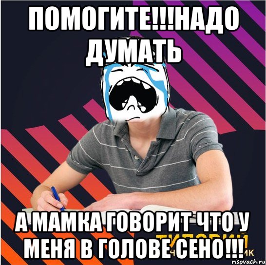 помогите!!!надо думать а мамка говорит что у меня в голове сено!!!, Мем Типовий одинадцятикласник