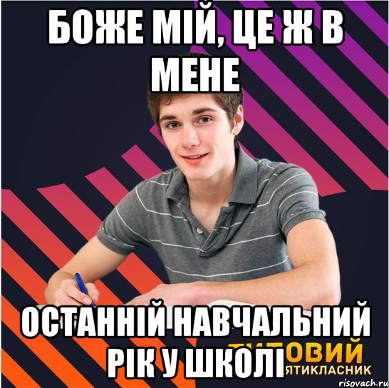 боже мій, це ж в мене останній навчальний рік у школі, Мем Типовий одинадцятикласник