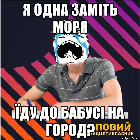 я одна заміть моря їду до бабусі на город?, Мем Типовий одинадцятикласник