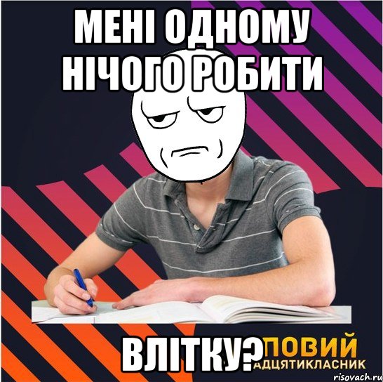 мені одному нічого робити влітку?, Мем Типовий одинадцятикласник