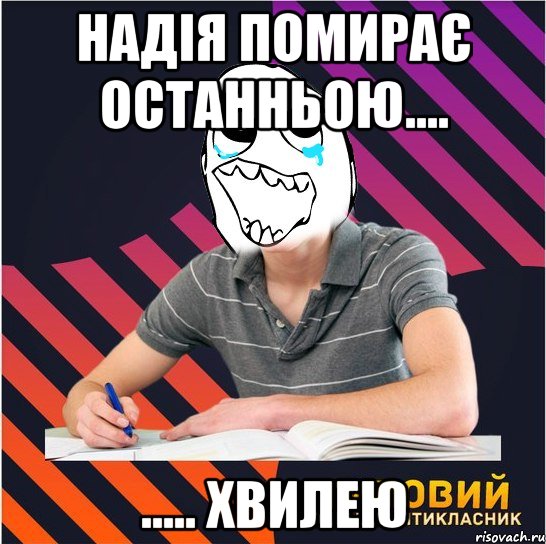 надія помирає останньою.... ..... хвилею, Мем Типовий одинадцятикласник