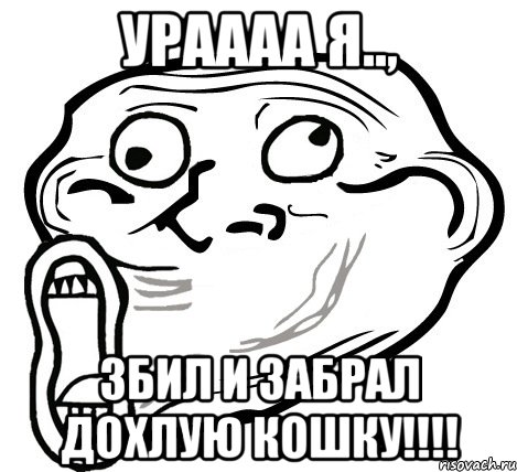 ураааа я.., збил и забрал дохлую кошку!!!, Мем  Trollface LOL