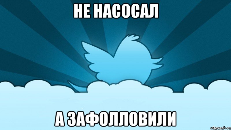 не насосал а зафолловили, Мем    твиттер