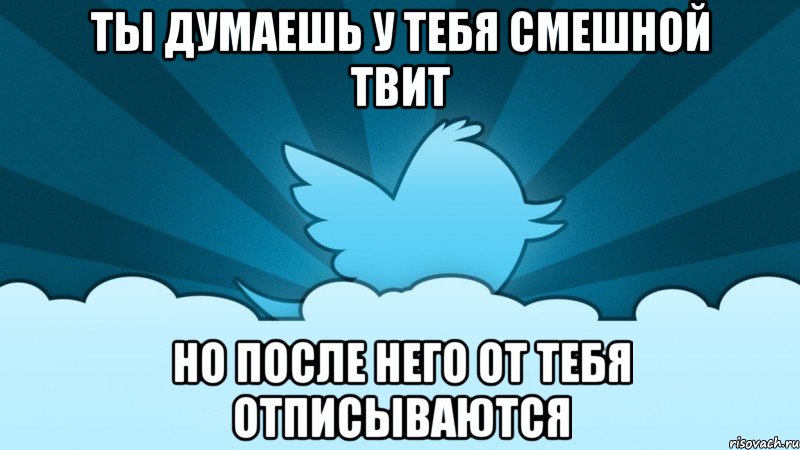 ты думаешь у тебя смешной твит но после него от тебя отписываются, Мем    твиттер