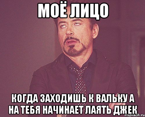 моё лицо когда заходишь к вальку а на тебя начинает лаять джек, Мем твое выражение лица