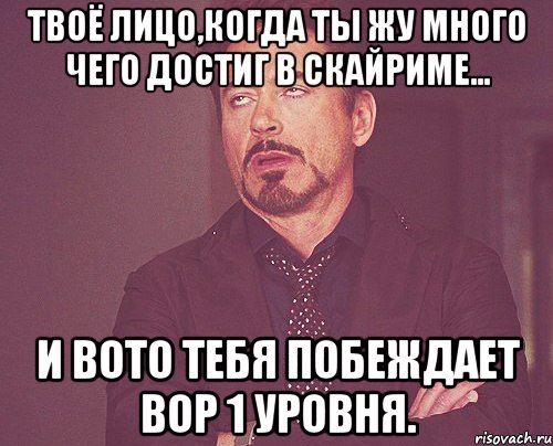 твоё лицо,когда ты жу много чего достиг в скайриме... и вото тебя побеждает вор 1 уровня., Мем твое выражение лица