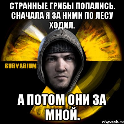 странные грибы попались. сначала я за ними по лесу ходил. а потом они за мной.