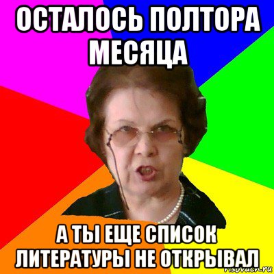 осталось полтора месяца а ты еще список литературы не открывал, Мем Типичная училка