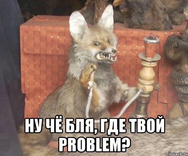  ну чё бля, где твой problem?, Мем Упоротый лис курит кальян