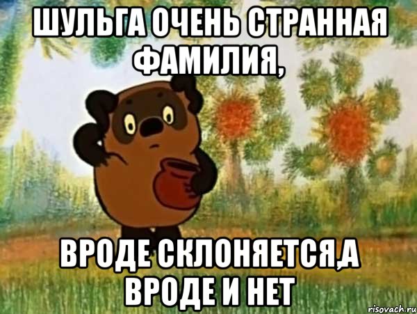 шульга очень странная фамилия, вроде склоняется,а вроде и нет, Мем Винни пух чешет затылок