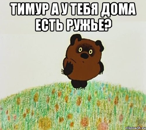 тимур а у тебя дома есть ружье? , Мем ВИННИ ПУХ