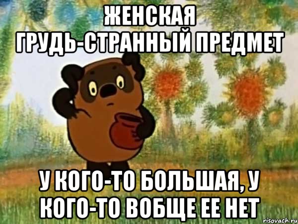 женская грудь-странный предмет у кого-то большая, у кого-то вобще ее нет, Мем Винни пух чешет затылок