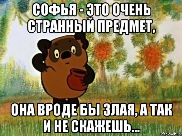 софья - это очень странный предмет, она вроде бы злая, а так и не скажешь..., Мем Винни пух чешет затылок