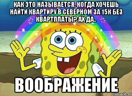 как это называется, когда хочешь найти квартиру в северном за 15к без квартплаты? ах да.. воображение