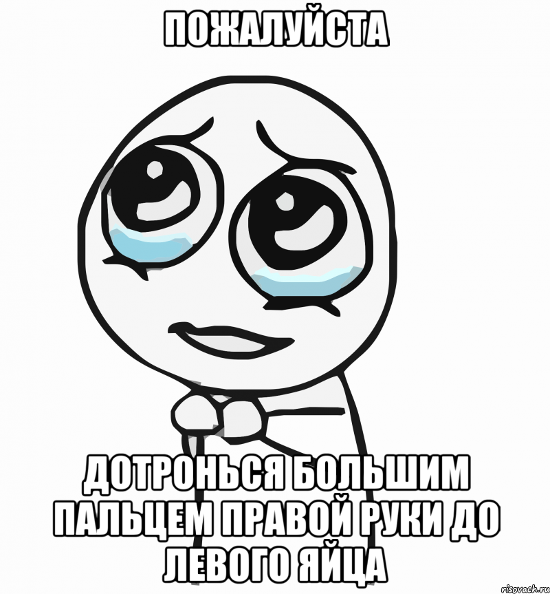 пожалуйста дотронься большим пальцем правой руки до левого яйца, Мем  ну пожалуйста (please)