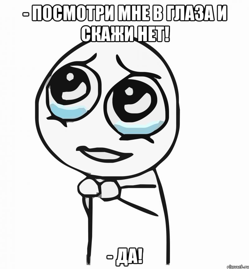 - посмотри мне в глаза и скажи нет! - да!, Мем  ну пожалуйста (please)