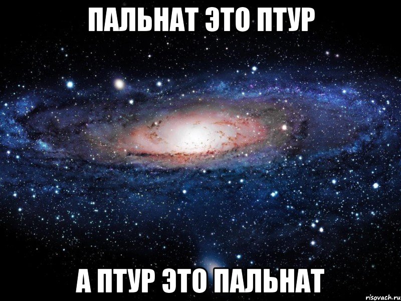 пальнат это птур а птур это пальнат, Мем Вселенная