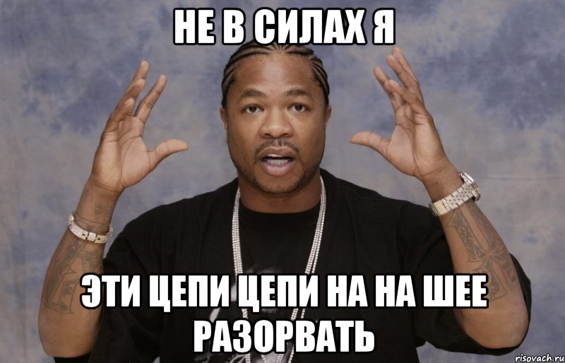 не в силах я эти цепи цепи на на шее разорвать, Мем Xzibit