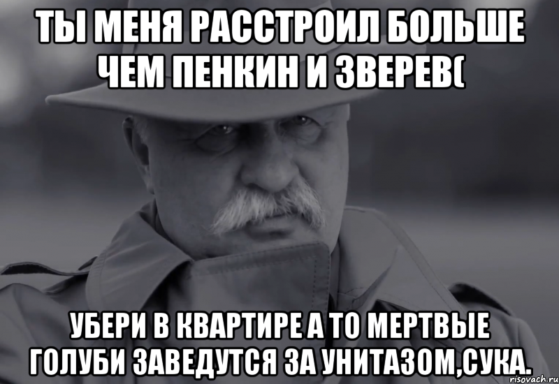 ты меня расстроил больше чем пенкин и зверев( убери в квартире а то мертвые голуби заведутся за унитазом,сука., Мем Якубович