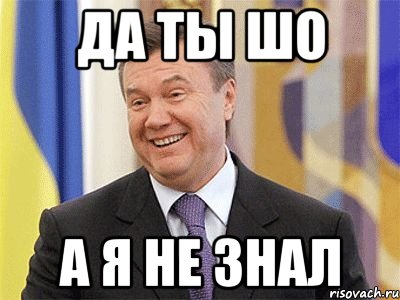 да ты шо а я не знал, Мем Янукович