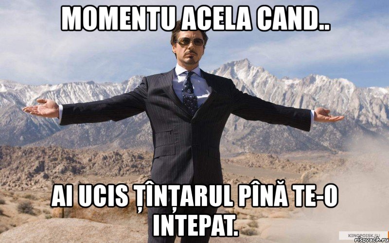 momentu acela cand.. ai ucis ţînţarul pînă te-o intepat., Мем железный человек