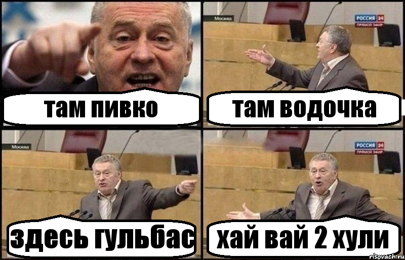 там пивко там водочка здесь гульбас хай вай 2 хули, Комикс Жириновский