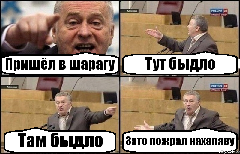 Пришёл в шарагу Тут быдло Там быдло Зато пожрал нахаляву, Комикс Жириновский